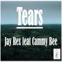 Tears (feat. Cammy Bee)