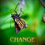 Change (feat. Verdora)