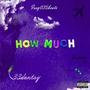 HOW MUCH (Explicit)