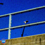blurred momentum