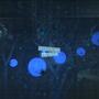 cerulean