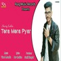 Tera Mera Pyar