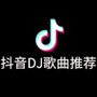 抖音DJ歌曲推荐|别知己