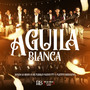 Águila Blanca