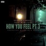 How You Feel Pt. 3 (Explicit)