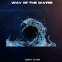 WAY OF THE WATER