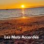 Les mots accordés