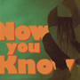 Now You Know (feat. branblan.) [feat. branblan.]