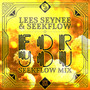 For You (SeekFlow Remix)