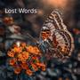 Lost Words