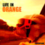 Life In Orange