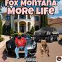 More Life (Explicit)