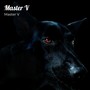 Master V