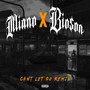 Can't Let Go (Remix) [Explicit]