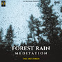 Forest Rain Meditation