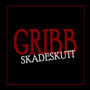 Skadeskutt