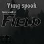 Field (Explicit)