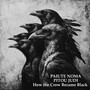 How the Crow Became Black