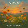 Wasted Love