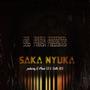 Saka Nyuka (feat. K-Music SA & Skillz 808)