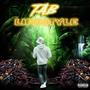 TAB Lifestyle (Explicit)