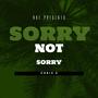 Sorry Not Sorry (feat. Tybaby & TaeoTheArtist) [Explicit]