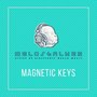 Magnetic Keys (Original Mix)