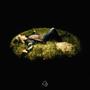 Serenity (Explicit)