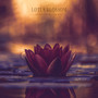 Lotus Blossom