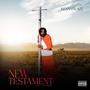 New Testament (Explicit)