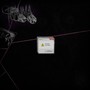 TRAUMA (Explicit)