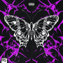 Butterfly (Explicit)