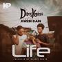 Life (feat. Kwesi Dain)