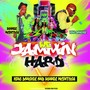 We Jammin' Hard (feat. Ronnie Mcintosh)