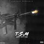 T.S.M (feat. Farii)