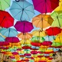 Little Umbrellas