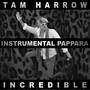 Incredible (Instrumental Pappara)