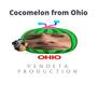 Cocomelon from Ohio