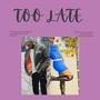 Too Late (feat. Sean Reid) [Radio Edit]