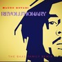 Revolutionary (The Baas Family Remix)