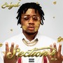 Section 4 (Explicit)