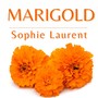 Marigold