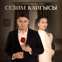 Сезим кайгысы
