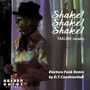 Shake! Shake! Shake! (electro funk remix by D.T. construction)