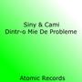 Dintr-o Mie De Probleme (with. Camy)