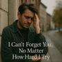 I Can’t Forget You, No Matter How Hard I Try. (feat. Mila)