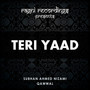 Teri Yaad