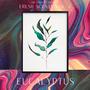 EUCALYPTUS (Explicit)