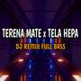 Dj terena mate x tela hepa (inst)