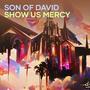 Son of David Show Us Mercy